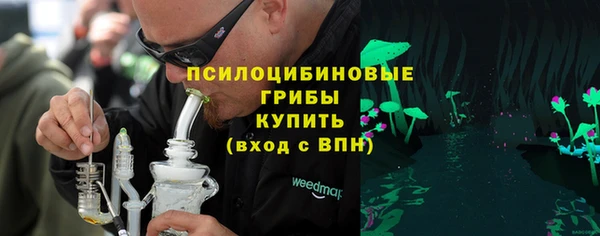 прущие грибы Березники