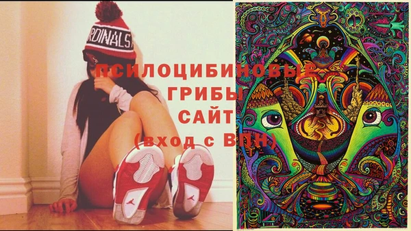 a pvp Майский