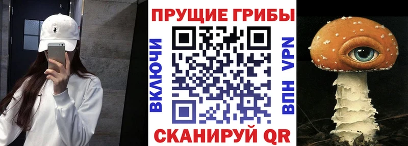 Псилоцибиновые грибы ЛСД  OMG как войти  Зуевка 